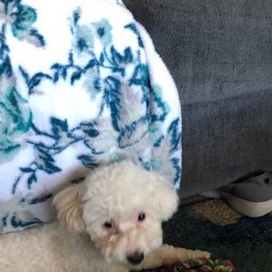 Meet your Posher, Marlene